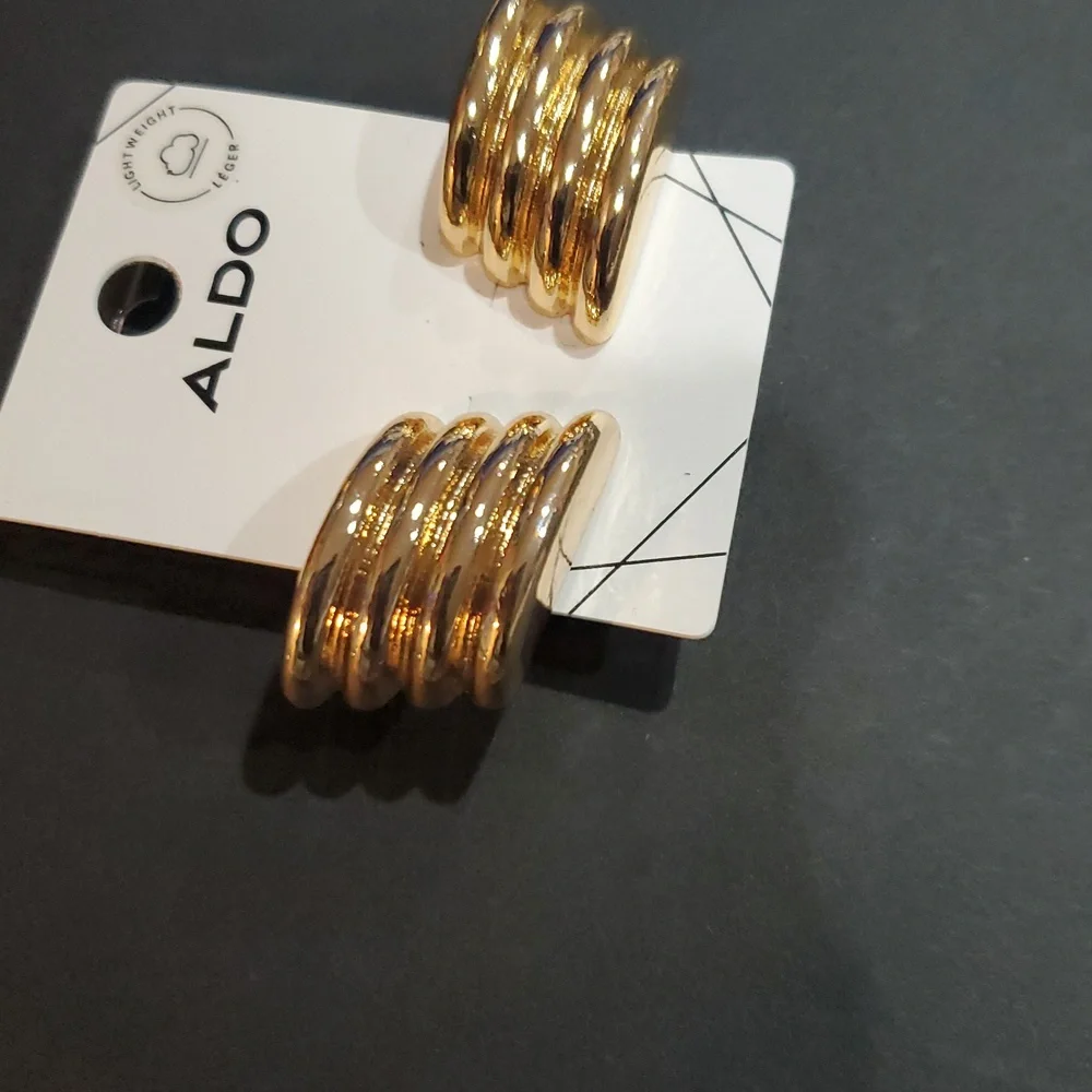 Aldo geometric stone shape ribbed gold plated latchback Earrings‎ new